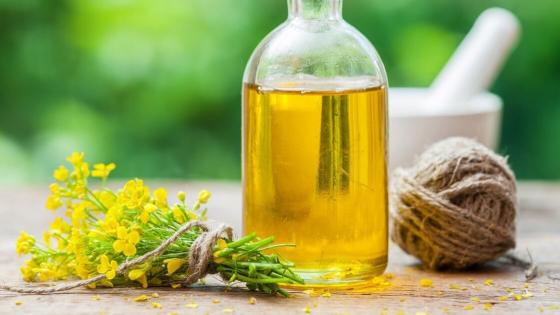 هل زيوت البذور تسبب سرطان القولون؟ دراسة تحذر من خطورة الزيوت النباتية وتأثيرها الالتهابي