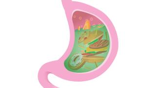 تمدد المعدة بعد تناول وجبة كبيرة : إليك تفسير علمي ونصائح للتخفيف من الشعور بالامتلاء